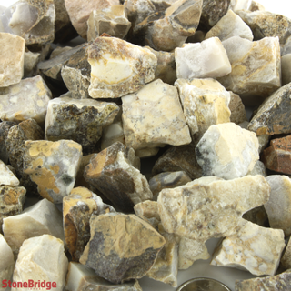 Orbicular Jasper Chips - Extra Small    from Stonebridge Imports