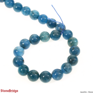 Apatite - Round Strand 7" - 8mm    from The Rock Space