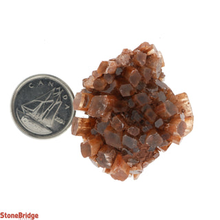 Aragonite Sputnik Cluster - 5 Pack    from The Rock Space