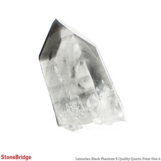 Lemurian Black Phantom Point #6    from Stonebridge Imports