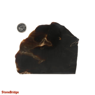 Calcite Chocolate Slice #4 from The Rock Space
