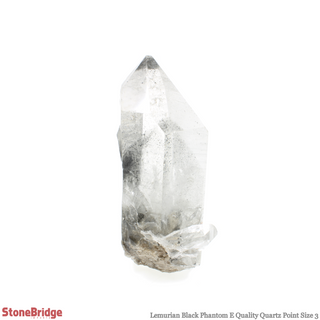 Lemurian Black Phantom Point #3    from Stonebridge Imports
