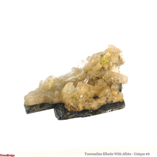Tourmaline Elbaite With Albite U#6    from The Rock Space