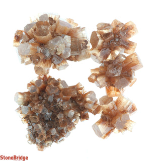 Aragonite Sputnik Cluster - 5 Pack    from The Rock Space