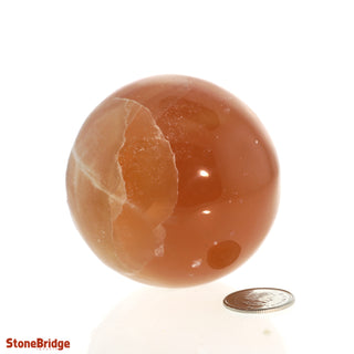 Calcite Honey Sphere - Small #2 - 2 1/4"    from The Rock Space