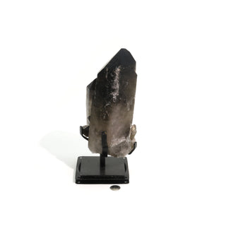 Smoky Quartz Cluster on Iron Stand U#35    from The Rock Space