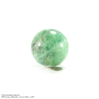 Fluorite Green Sphere - Small #4 - 2 1/2"    from The Rock Space