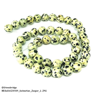 Dalmatian Jasper - Round Strand 15" - 6mm    from The Rock Space