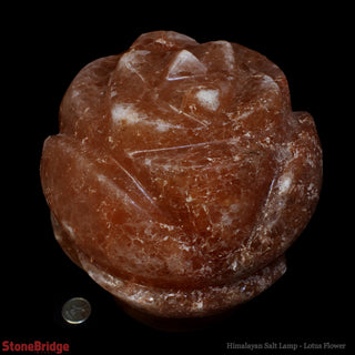 Himalayan Salt Lamp - Design/ Lotus Flower    from The Rock Space