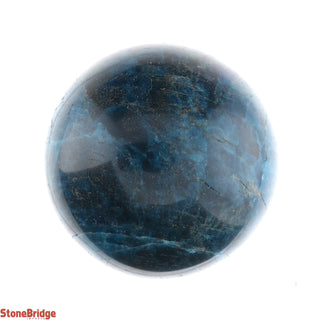 Apatite Blue Sphere - Small #1 - 2 1/4"    from The Rock Space