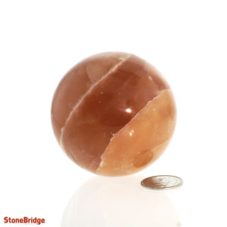 Calcite Honey Sphere - Small #1 - 2 1/4"    from The Rock Space