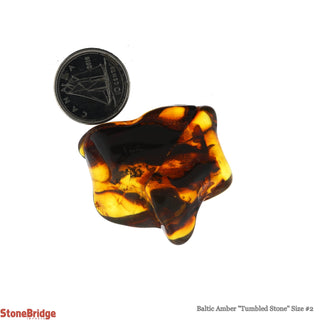 Amber Baltic Tumbled #2    from The Rock Space