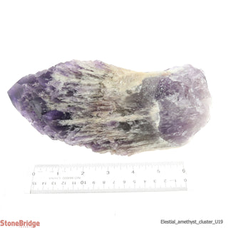 Amethyst Elestial Quartz Cluster U#19 - 8 1/2"