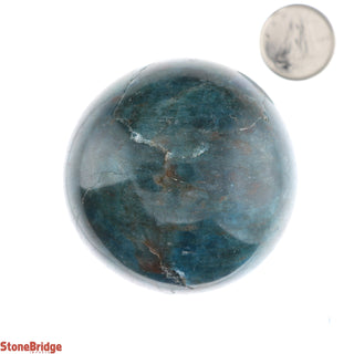 Apatite Blue Sphere - Extra Small #4 - 2"    from The Rock Space