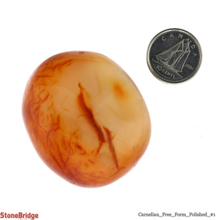 Carnelian Polished Free Form #1 - 40g to 99g    from The Rock Space