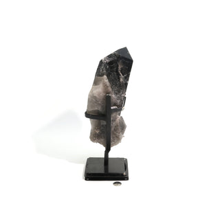 Smoky Quartz Cluster on Iron Stand U#34    from The Rock Space