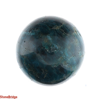 Apatite Blue Sphere - Small #3 - 2 1/4"    from The Rock Space