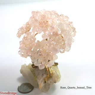 Rose Quartz Chips Bonsai Tree Small 3"    from The Rock Space