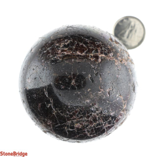 Garnet Sphere - Small #3 - 2 1/4"    from The Rock Space