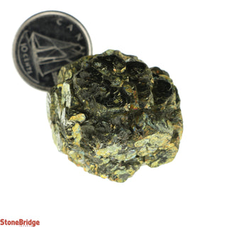 Marcasite Nodules Specimens #5 - 40g to 50g    from Stonebridge Imports