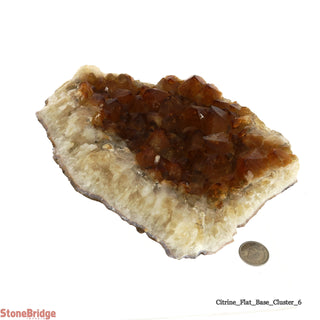 Citrine Cluster #6 - 8"    from The Rock Space