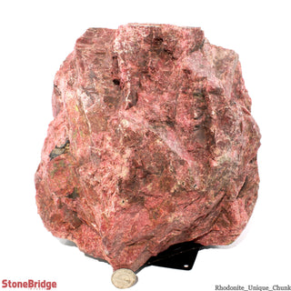 Rhodonite Specimen U#9    from The Rock Space