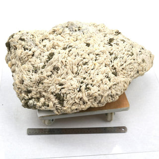 Albite with Cleavelandite Crystal U#21 - 20"    from The Rock Space