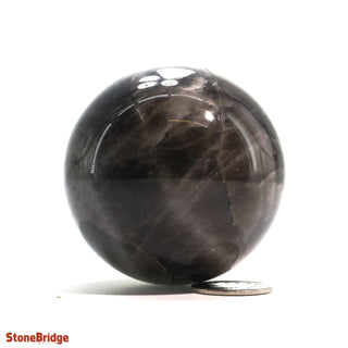 Smoky Quartz Dark Sphere - Extra Small #4 - 2"    from The Rock Space