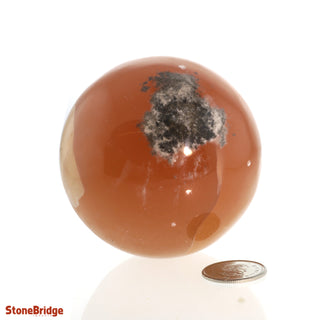 Calcite Honey Sphere - Small #2 - 2 1/4"    from The Rock Space