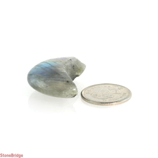 Labradorite Moon Shaped Polished Stones    from The Rock Space