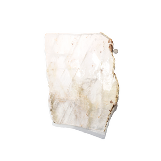 Selenite Window Slab U#6 - 14"    from The Rock Space