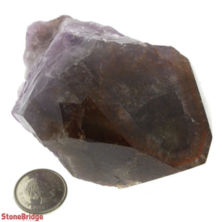 Super Seven Point #3 - 200g to 300g    from Stonebridge Imports