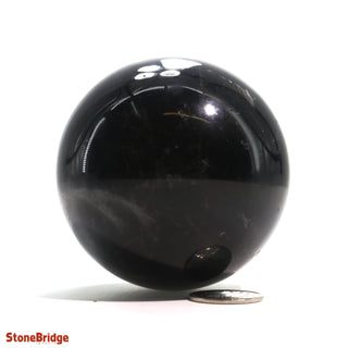 Smoky Quartz Dark Sphere - Small #3 - 2 1/4"    from The Rock Space