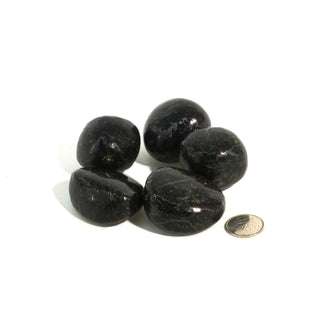 Nuummite Tumbled Stones - India    from The Rock Space