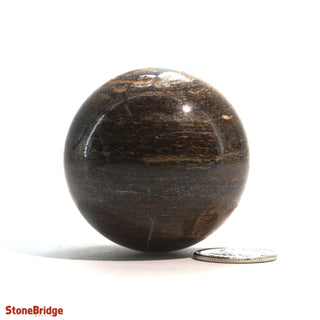 Bronzite Sphere - Extra Small #2 - 1 3/4" from The Rock Space