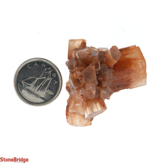 Aragonite Sputnik Cluster - 5 Pack    from The Rock Space