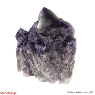 Amethyst Elestial Quartz Cluster U#37 - 8 1/2"    from Stonebridge Imports