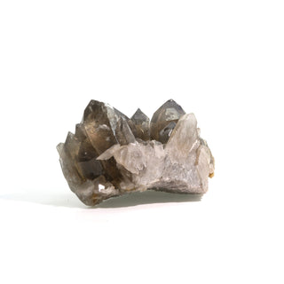 Smoky Quartz Rutilated Cluster U#2    from The Rock Space