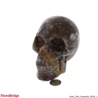 Aztec Red Aragonite Skull #7    from The Rock Space