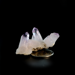 Amethyst Vera Cruz Cluster Specimen    from The Rock Space