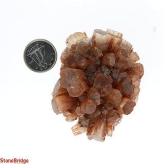 Aragonite Sputnik Cluster #5    from The Rock Space