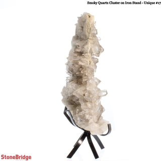 Smoky Quartz Cluster on Iron Stand U#17 - 12"    from The Rock Space