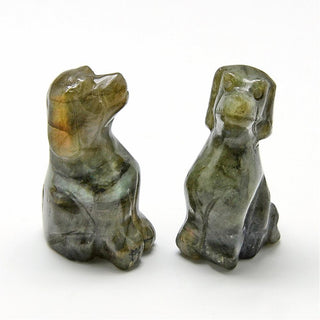 Puppy Carving - Assorted Stones    from The Rock Space