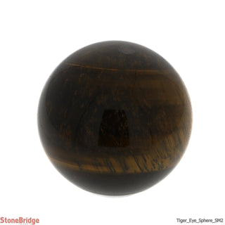 Tiger Eye Sphere - Small #2 - 2 1/4"    from The Rock Space