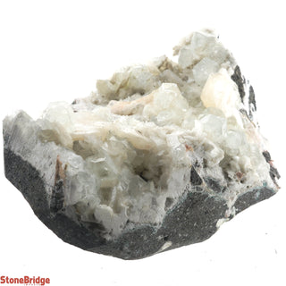 Zeolite on Basalt Cluster - APOPHYLLITE & STILBITE U#73    from The Rock Space