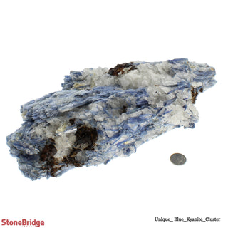 Kyanite Blue Cluster U#21    from The Rock Space