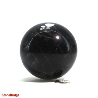 Smoky Quartz Dark Sphere - Medium #2 - 2 3/4"    from The Rock Space