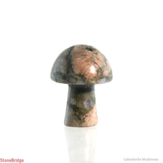 Rhyolite Mushroom from The Rock Space