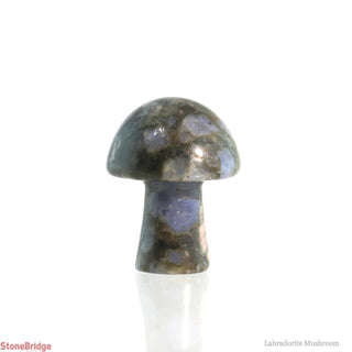 Labradorite Mushroom    from The Rock Space