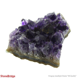 Amethyst Uruguay Cluster E #1S 20g to 49g    from The Rock Space